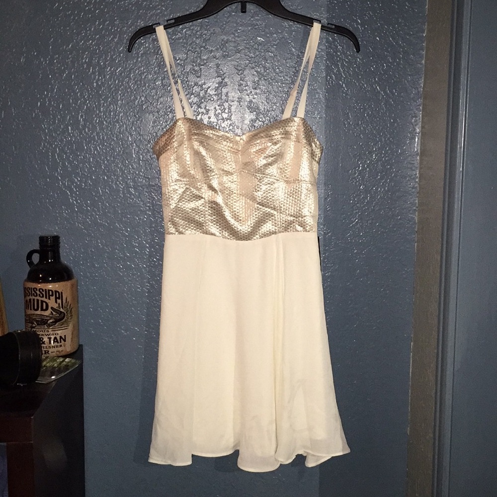 Express (New) Dress